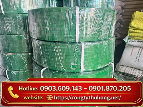 Dây đai PET Dây đai PET đóng pallet đóng gói
