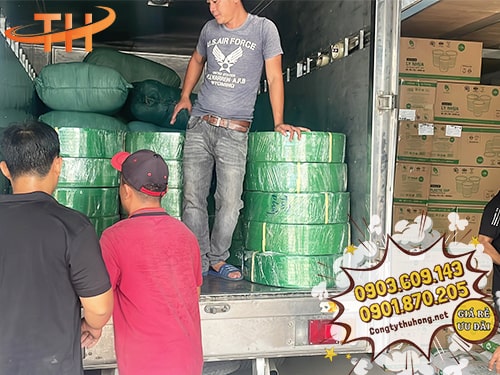 Dây đai PET giá sỉ Dây đai PET giá sỉ