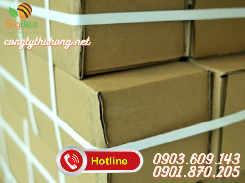 Dây đai pet ràng hàng