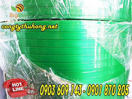 Dây đai nhựa pet giá sỉ ưu đãi