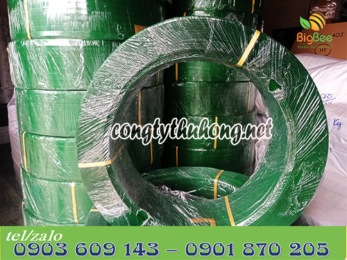 Dây đai nhựa PET xanh lá bản rộng 1f6 cuộn 20kg