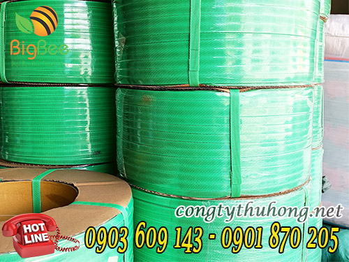 Cuộn 10kg dây đai nhựa pp xanh 1f2