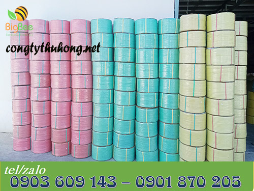 Nhập kho dây đai nhựa PP theo đơn đặt hàng khách hàng sỉ