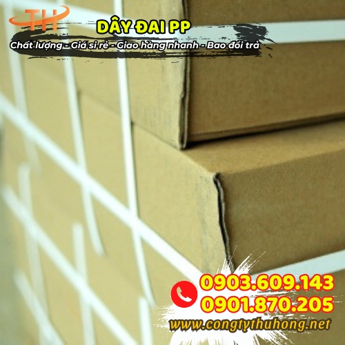 Dây đai PP nhựa 1F giá rẻ Dây đai PP nhựa 1F giá rẻ