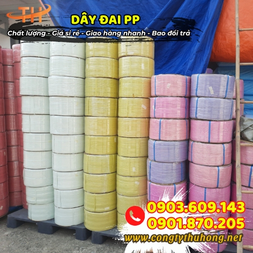 Dây đai PP nhựa 1F giá rẻ Dây đai PP nhựa 1F giá rẻ