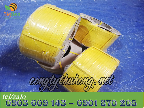 Cuộn dây đai pp 10kg nhiều kích cỡ nhiều màu