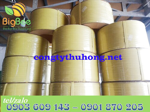 Cuộn dây đai màu vàng nhạt 10kg