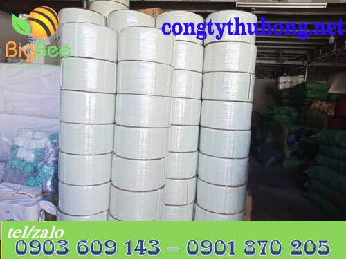 Cuộn dây đai nhựa PP trắng sữa cuộn 10kg
