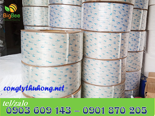 Dây đai nhựa PP trong suốt in logo