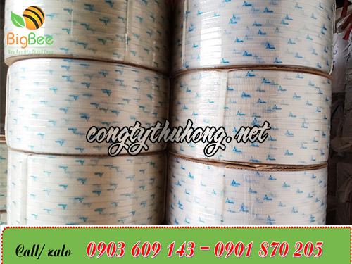 Dây đai pp trắng trong in logo