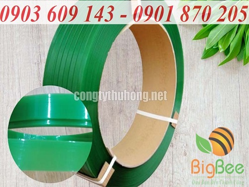 Cuộn dây đai nhựa PET trơn xanh lá