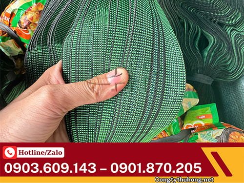 Dây ràng hàng Dây ràng hàng bản lớn