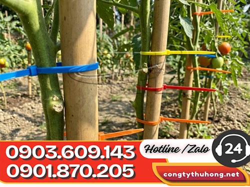 Rút nhựa đa màu Dây rút nhựa đa màu giá sỉ