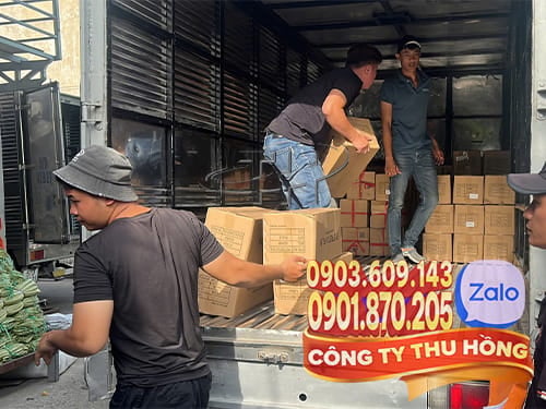 Dây rút nhựa màu Dây rút nhựa giá sỉ nhiều màu