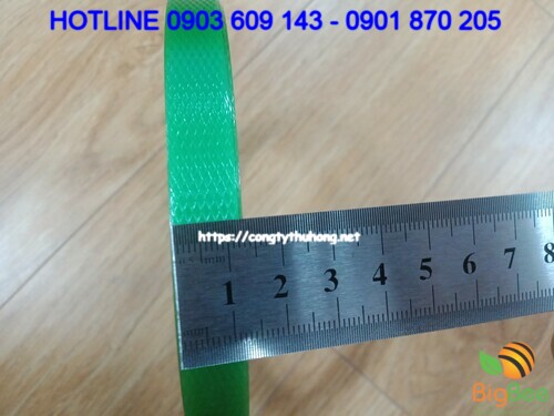 dây đai nhựa xanh 1f2