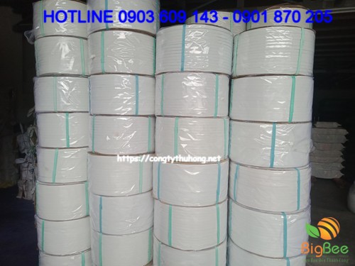 dây đai pp trắng