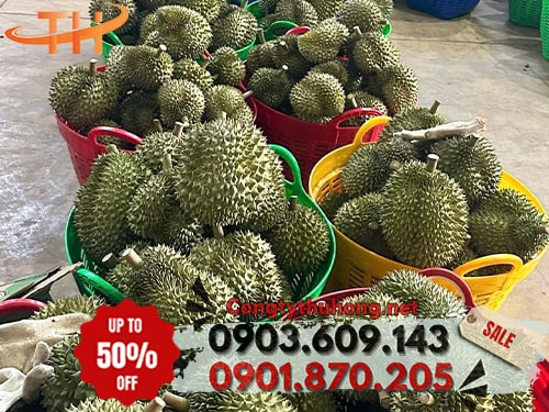 Cần xé đựng sầu riêng Địa chỉ mua cần xé đựng sầu riêng