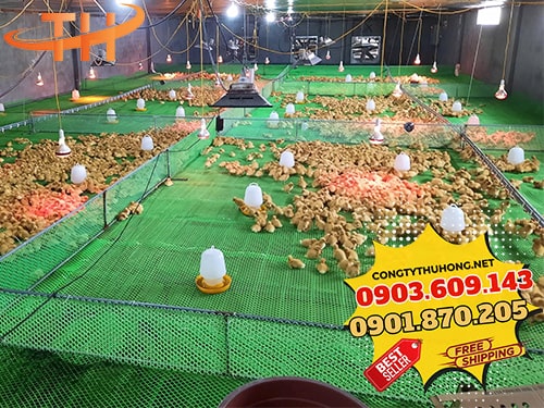 lưới nhựa mắt cáo nuôi vịt Giá lưới nhựa giá rẻ