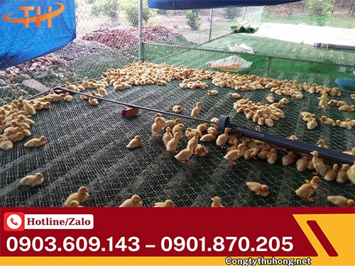 Lưới nhựa mắt cáo Giá lưới nhựa mắt cáo