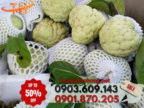 Xốp bọc trái cây màu trắng Giá rẻ xốp bọc trái cây tại TPHCM