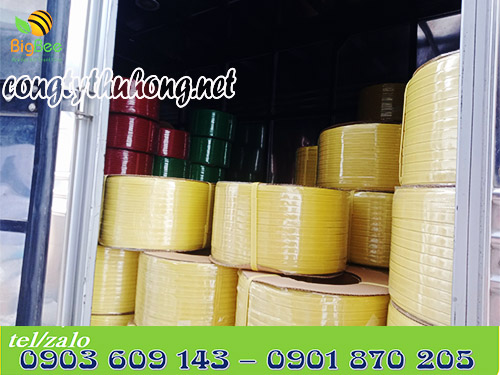 Giao hàng dây đai pp nhiều màu cho khách hàng sỉ tại HCM