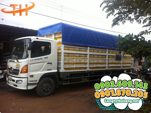 Lồng nhựa đựng gà vịt Giao lồng nhựa đựng gà vịt