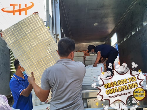 Giao sàn nhựa chăn nuôi giá rẻ Giao sàn nhựa chăn nuôi giá rẻ