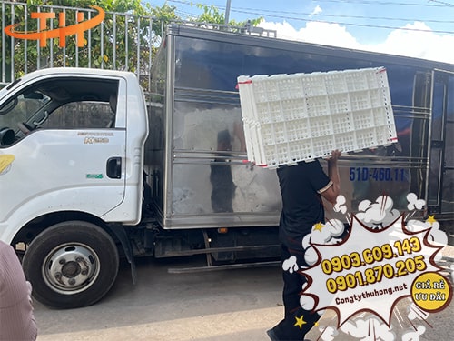 Giao sàn nhựa chăn nuôi giá rẻ Giao sàn nhựa chăn nuôi giá rẻ