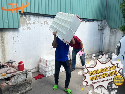 Giao sàn nhựa chăn nuôi giá rẻ Giao sàn nhựa chăn nuôi giá rẻ