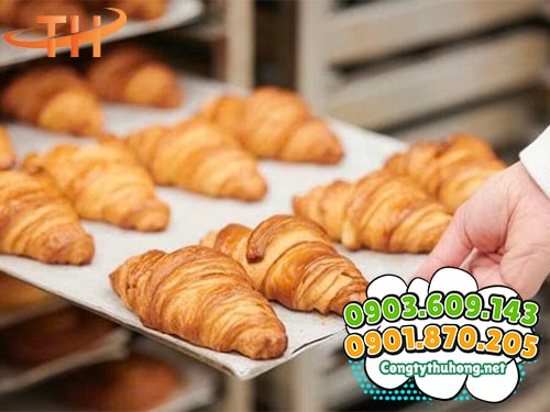 Giấy nướng bánh không thấm dầu Giấy nướng bánh