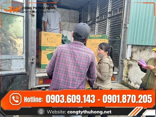 Giấy thấm dầu tròn Giấy thấm dầu tròn giá sỉ