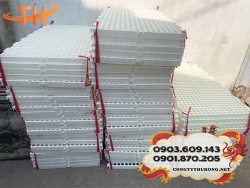 Sàn nhựa chăn nuôi 50 x 100cm Hướng dẫn sử dụng sàn nhựa chăn nuôi đúng cách
