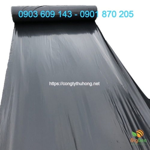 Màng phủ PE nông nghiệp