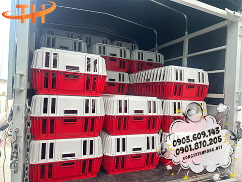 lồng gà vịt Lên hàng lồng gà vịt về miền tây