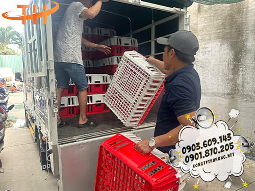 lồng gà vịt Lên hàng lồng gà vịt