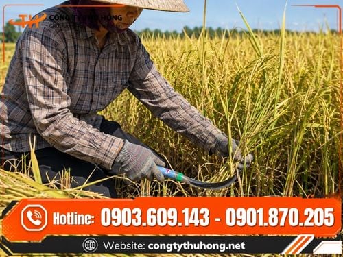 Liềm thép cắt cỏ Liềm thép cắt cỏ đa năng giá tốt