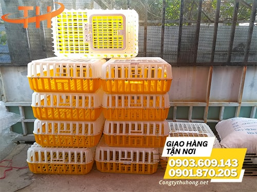 Lồng nhựa bắt gà chất lượng Lồng bắt gà giá rẻ