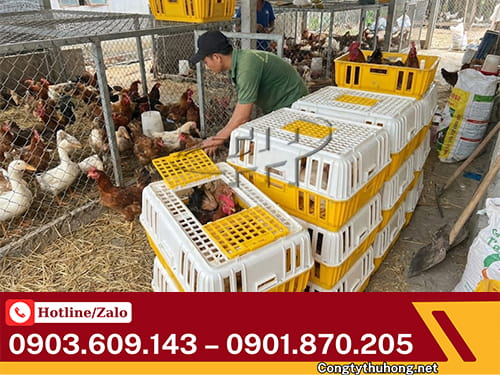 Lồng nhựa bắt gà vịt Lồng bắt gà vịt chăn nuôi