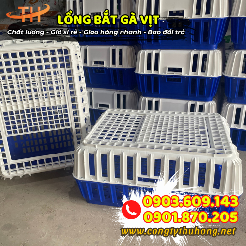 Lồng bắt gà vịt giá tốt Lồng bắt gà vịt giá tốt