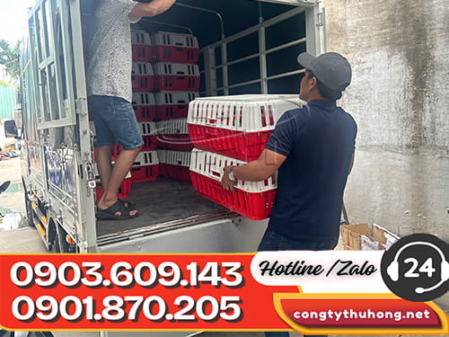 Lồng gà nhựa Lồng gà nhựa chịu lực giá sỉ