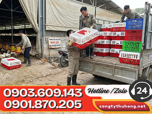 Lồng gà nhựa Lồng gà nhựa giá sỉ