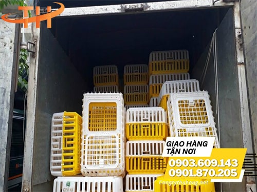 Lồng nhựa bắt gà giá rẻ Lồng nhựa bắt gà giá rẻ