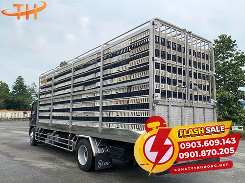 Lồng nhựa bắt gà giá tốt nhất TPHCM Lồng nhựa bắt gà giá tốt nhất TPHCM