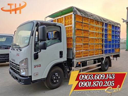 Lồng nhựa đựng gà vịt Lồng nhựa đựng gà vịt giá sỉ