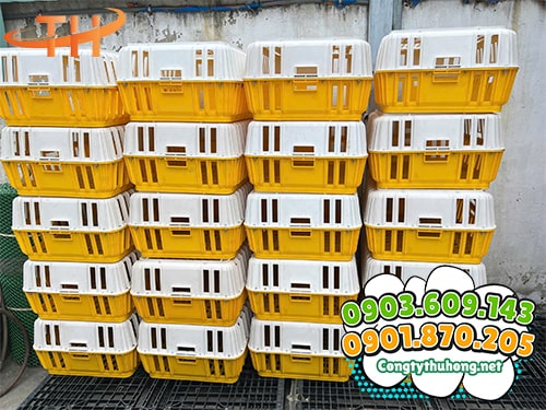 Lồng nhựa đựng gà vịt Lồng nhựa đựng gà vịt giao toàn quốc