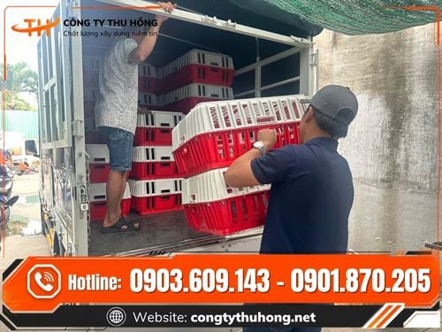 Lồng nhựa vận chuyển gia cầm Lồng nhựa vận chuyển gia cầm giá sỉ tại TPHCM