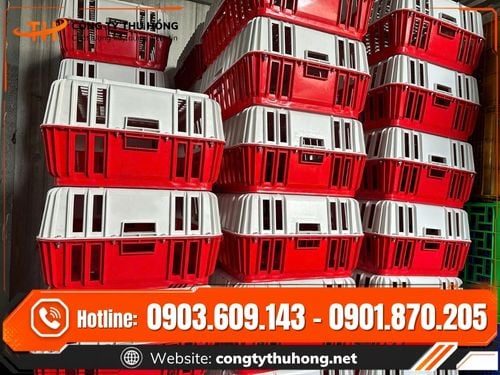 Lồng nhựa vận chuyển gia cầm Lồng nhựa vận chuyển gia cầm giá sỉ TPHCM
