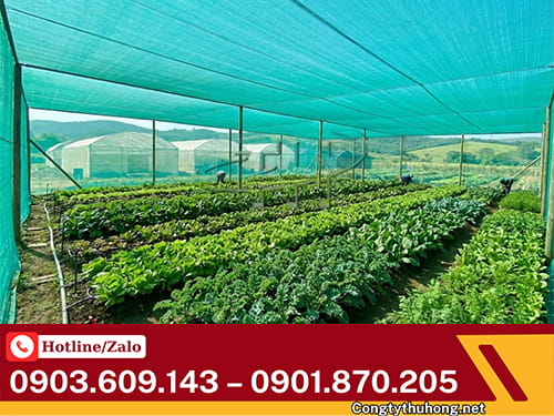 Lưới chắn côn trùng Lưới chắn côn trùng nhà lưới