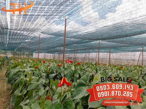 Lưới che nắng nông nghiệp Lưới che nắng nông nghiệp