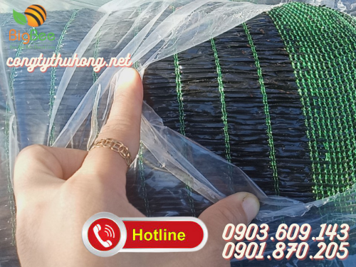 Lưới che nắng Thái Lan khổ 3m